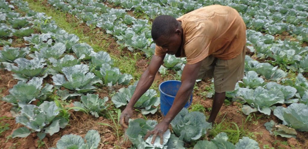 Rwanda : Un fonds de soutien aux petits agriculteurs Agriculteur