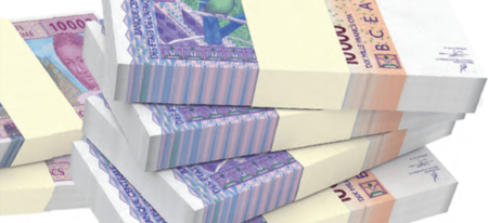 La parité du FCFA, arrimée à un euro fort qui pénalise les exportations, est fréquemment visée par ses détracteurs. La montée du sentiment hostile à la politique française en Afrique dans plusieurs pays de la région, notamment au sein des populations les plus jeunes, a accentué l'impopularité de la devise.