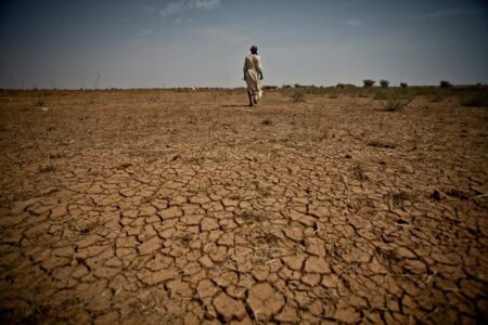 1,79 milliard d’euros pour lutter contre la famine en Afrique de l’Ouest et au Sahel La branche «Agriculture, Forêt et Pêche» paie un lourd tribut à la sécheresse qui sévit au Maroc depuis deux ans. Elle a perdu 202.000 postes, essentiellement dans le monde rural, selon le Haut-commissariat au Plan (HCP).