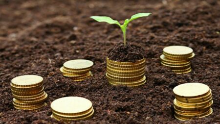 Gabon : 20 établissements de microfinance agréés Microfinance