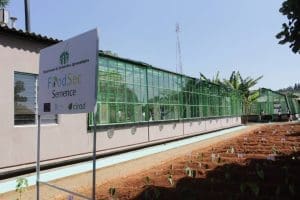 FoodSec Semence