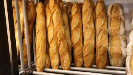 Baguettes de pain