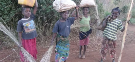 Afrique : 83% de la population ne bénéficie pas de couverture sociale Travail des enfants