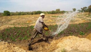 Petits exploitants agricoles