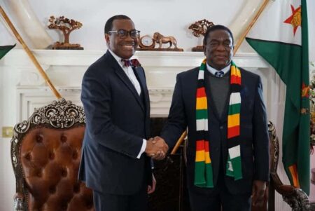 Emmerson Mnangagwa