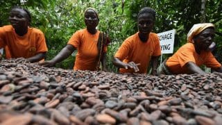 Ghana : Déficit dans la filière cacao