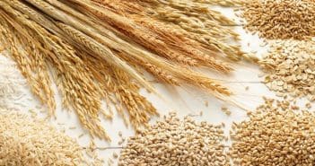 Globalement, le prolongement de la taxe sur les exportations indiennes de riz étuvé devrait renforcer les tensions sur le marché mondial