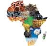 ressources afriques