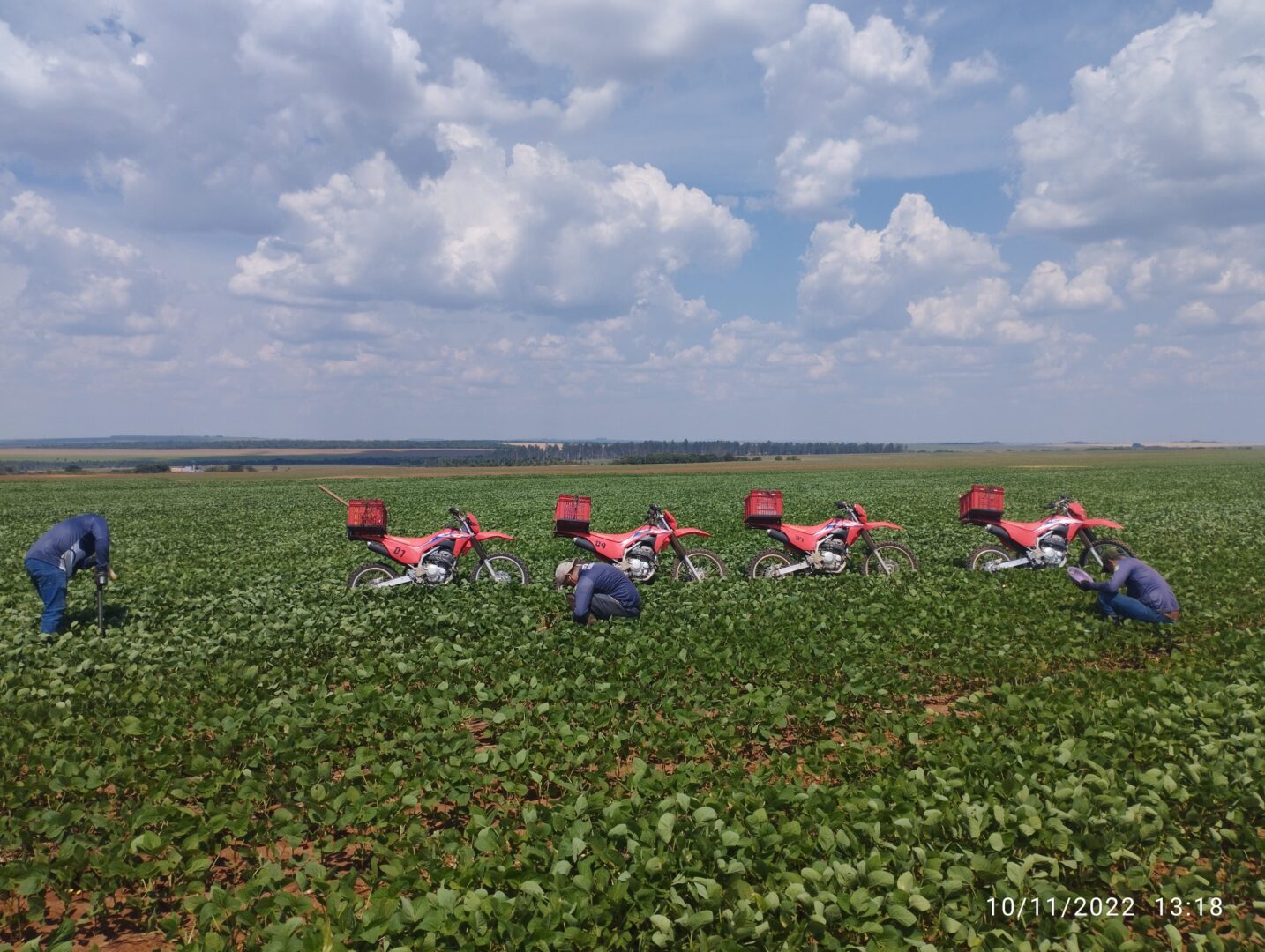 Bresil : Le Groupe OCP lance son premier projet de culture et de certification carbone