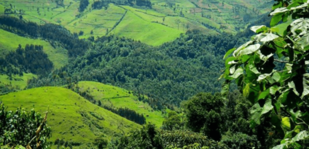 Financement Climat : 319 millions de dollars du FMI pour le Rwanda