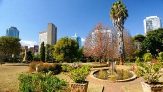 Zimbabwe : Reprise du secteur touristique en 2022