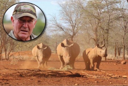 John Hume, Président de Platinum Rhino