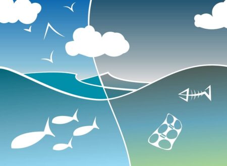 Pollution des océans