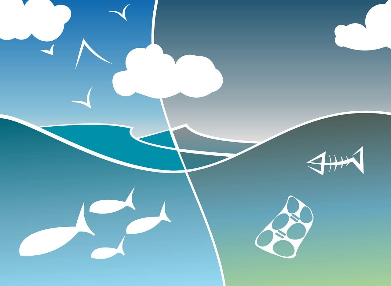 Pollution des océans