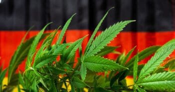 Afrique du Sud : L'industrie du cannabis évaluée à près de 2 milliards de dollars