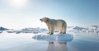 Changement climatique