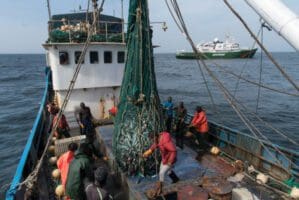Comment les Chinois volent le poisson en Afrique de l’Ouest Comment les Chinois volent le poisson en Afrique de l’Ouest