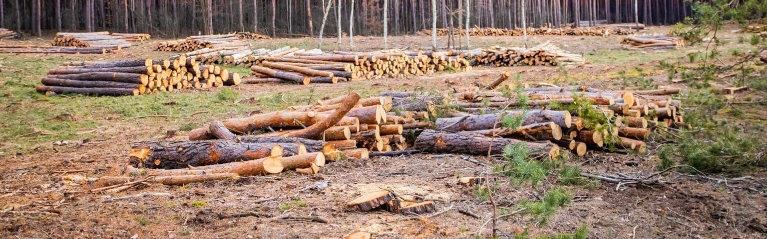 Afrique : ESG et reporting RSE…, quelles réelles opportunités pour l’entreprise ?