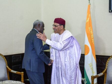 Niger : l'Union africaine donne quinze jours aux militaires pour rétablir "l'autorité constitutionnelle