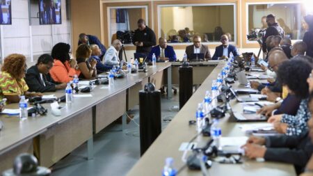 Les énergies renouvelables, meilleures opportunités pour l’Afrique de réaliser les Objectifs de développement durable [experts]