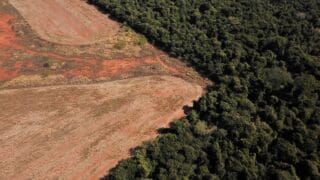 Déforestation amazonie