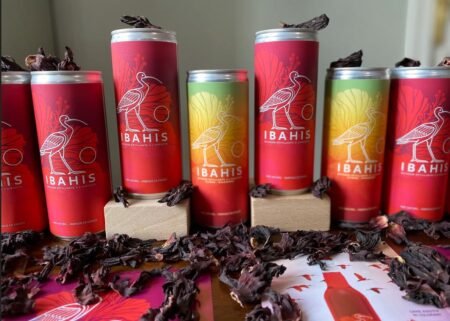 Différentes cannettes d'hibahis devant des fleurs d'hibiscus séchées