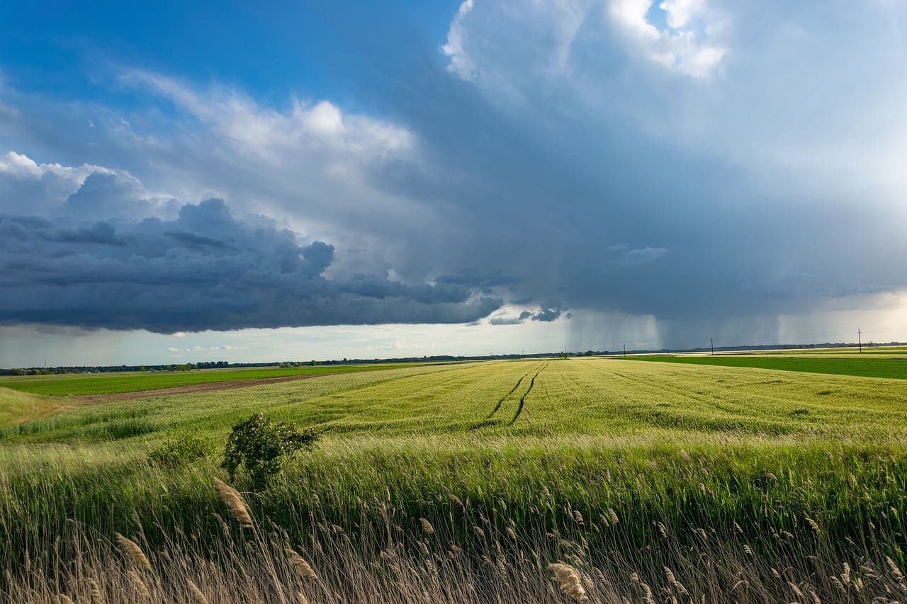 Sarthe et haute Bretagne, nouvelles oasis de la France Design Week ? La pratique de l'agriculture durable sera au coeur de la COP28 aux Emirats arabes unis