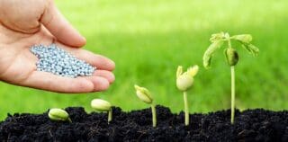 Nairobi abritera le prochain Sommet africain sur les engrais Organisée par la Commission de l’Union africaine, par l’intermédiaire du Département de l’Agriculture, du Développement rural, de l’Economie bleue et de l’Environnement durable, ce rendez-vous permettra aux industriels, responsables gouvernementaux, agriculteurs, organismes de financement, de souligner le rôle crucial des engrais et de la santé des sols dans la stimulation d’une croissance durable sur le continent.