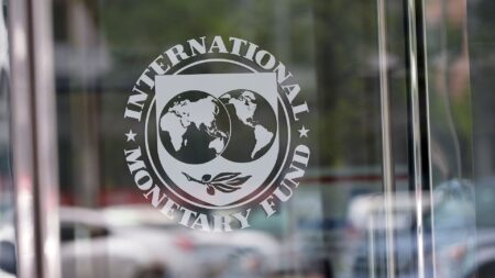 Le Fonds monétaire international (FMI) a actualisé ses prévisions de croissance sur tous les continents, jusqu’à l’horizon 2028. De nombreux pays africains vont voir leur produit intérieur brut (PIB) s’envoler ces prochaines années.