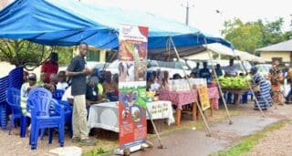 Guinée/BAD : distribution d’importantes quantités d’intrants agricoles Cette distribution, qui entre dans le cadre de la mise en œuvre du Projet de production alimentaire d’urgence a consisté à remettre aux agriculteurs locaux 80 tonnes d’engrais NPK (azote, phosphore, potassium), 85 tonnes de semences de riz certifiées et 20 tonnes de semences de maïs certifiées.