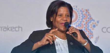 L’Afrique du Sud est en proie à une grave crise énergétique depuis quinze ans en raison de l’incapacité d’Eskom à répondre à la demande, avec ses centrales à charbon vieillissantes et de nouvelles capacités de production inadéquates.