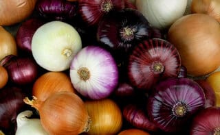 Anticoagulant naturel, l’oignon poussait dans les jardins chinois il y a 5000 ans. On sait aussi que l’oignon a souvent été trempé dans des boulets de canon lors de campagnes corsaires du XVIIème siècle.
