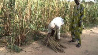 UA : la 5ème Conférence sur les politiques foncières en Afrique du 21 au 24 novembre à Addis-Abeba Initiée par la Commission de l’Union africaine, la Banque africaine de développement et la Commission économique des Nations unies pour l’Afrique (CEA), cette Conférence vise à renforcer les moyens d’action en matière de politique foncière en Afrique, en améliorant l’accès aux connaissances et aux informations sur l’élaboration et la mise en œuvre de la politique foncière, soulignent les organisateurs.
