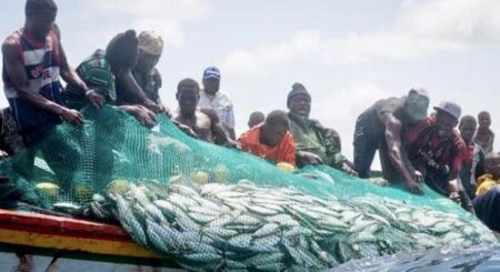 Le rapport de la Fondation pour la Justice environnementale s’appuie sur des entretiens menés entre septembre 2022 et mai 2023 auprès de différents acteurs des communautés de pêche artisanale, du secteur industriel et du gouvernement, ainsi que sur des recherches documentaires et des analyses de données. 65 % des pêcheurs artisanaux interrogés déclarent gagner moins aujourd'hui qu'il y a cinq ans.