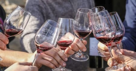 Dans l'hémisphère sud, les volumes de production de vin devraient être bien inférieurs aux chiffres de 2022. L'Australie, l'Argentine, le Chili, l'Afrique du Sud et le Brésil ont tous été fortement touchés par des conditions météorologiques défavorables. La seule exception est la Nouvelle-Zélande, le seul pays dont le niveau de production pour 2023 est supérieur à sa moyenne de ces cinq dernières années.