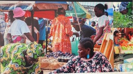Le secteur agricole africain a connu une transformation significative depuis l’an 2000, avec une expansion des terres cultivées - représentant 52% de la croissance mondiale. L'Afrique subsaharienne enregistre d’autant plus le taux de croissance le plus élevé en valeur de production agricole de toutes les régions du monde, soit à hauteur de 4,3 %.