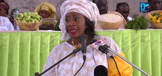 Sénégal : Lancement d’un projet d’intensification de la production rizicole résiliente au climat Elle a indiqué que ce projet est financé à hauteur de 14 millions de dollars par le Fonds d’adaptation climatique pour une durée de quatre ans dans 14 pays d’Afrique de l’Ouest. Ce fonds devrait permettre de créer une ‘’autosuffisance en riz avec des approches novatrices basées sur la résilience au changement climatique », a ajouté la Directrice de l’ANCAR, structure choisie pour la mise en œuvre de ce projet au Sénégal.