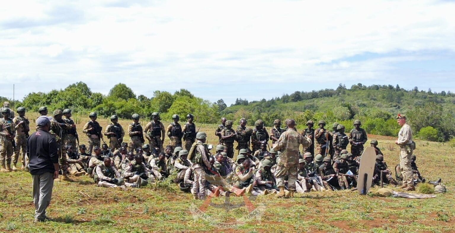 Au total, environ un millier de militaires participent à ces manœuvres qui «visent à améliorer la préparation des pays participants aux missions de maintien de la paix, à la réponse aux crises et à l'aide humanitaire.»