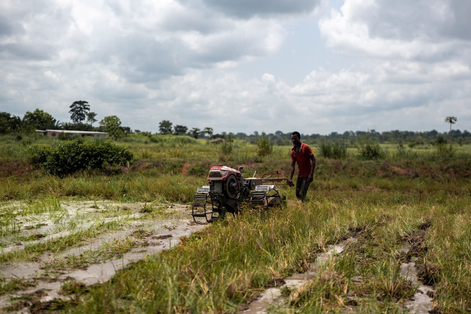 Transformation agricole : La RDC reçoit 117 millions de dollars de la BAD La Banque africaine de développement appuiera la construction d’infrastructures de développement des compétences dans le secteur agricole ; renforcera les capacités des formateurs dans le domaine agricole ; et appuiera la mise en place de cadastres agricoles afin de permettre à la République démocratique du Congo de développer la chaîne de valeur de son riche secteur agricole