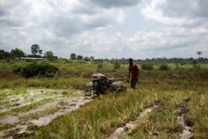 La Banque africaine de développement appuiera la construction d’infrastructures de développement des compétences dans le secteur agricole ; renforcera les capacités des formateurs dans le domaine agricole ; et appuiera la mise en place de cadastres agricoles afin de permettre à la République démocratique du Congo de développer la chaîne de valeur de son riche secteur agricole