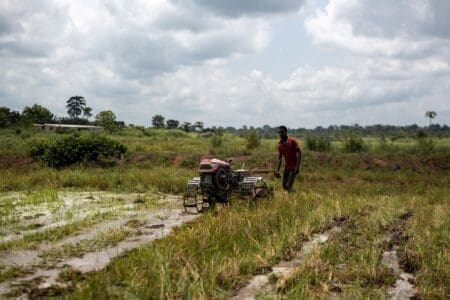 La Banque africaine de développement appuiera la construction d’infrastructures de développement des compétences dans le secteur agricole ; renforcera les capacités des formateurs dans le domaine agricole ; et appuiera la mise en place de cadastres agricoles afin de permettre à la République démocratique du Congo de développer la chaîne de valeur de son riche secteur agricole