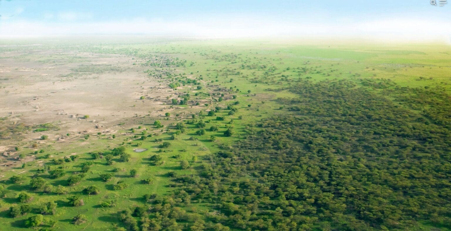 Grande Muraille Verte : une caravane de sensibilisation et de découverte se prépare Dans le delta du fleuve Sénégal, ce parc est une zone humide de 16 000 ha comprenant un grand lac entouré de ruisseaux, d’étangs et de bras morts, qui constituent un sanctuaire vital, mais fragile, pour un million et demi d’oiseaux tels que le pélican blanc, le héron pourpre, la spatule africaine, la grande aigrette et le cormoran. L’équipe d’organisation va définir les activités à mener avec les enfants. Le dimanche 21 avril 2024, pour prendre en compte les distances (et notamment depuis Saint-Louis), les groupes reprendront la route de façon matinale pour rentrer chez eux et reprendre l’école le lundi matin.