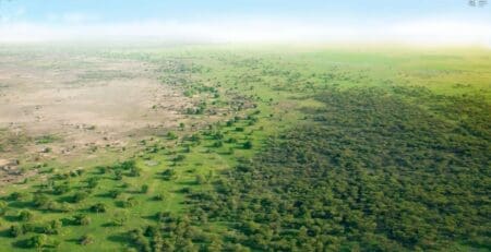 Dans le delta du fleuve Sénégal, ce parc est une zone humide de 16 000 ha comprenant un grand lac entouré de ruisseaux, d’étangs et de bras morts, qui constituent un sanctuaire vital, mais fragile, pour un million et demi d’oiseaux tels que le pélican blanc, le héron pourpre, la spatule africaine, la grande aigrette et le cormoran. L’équipe d’organisation va définir les activités à mener avec les enfants. Le dimanche 21 avril 2024, pour prendre en compte les distances (et notamment depuis Saint-Louis), les groupes reprendront la route de façon matinale pour rentrer chez eux et reprendre l’école le lundi matin.