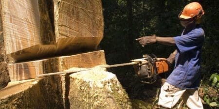 Mozambique : La Chine, premier bénéficiaire du pillage des forêts Ce commerce illégal est rendu possible par la corruption systémique qui imprègne chaque étape de la chaîne d'approvisionnement, de la forêt au port. Les sources interrogées par l’ONG britannique décrivent des pots-de-vin allant des négociants chinois à des fonctionnaires haut placés, à des agences telles que les autorités douanières et fiscales, le ministère de la Terre, de l'Environnement et du Développement rural, ainsi qu'au personnel de sécurité et de police.