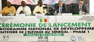 Sénégal : La BAD et la BID financent un projet d’élevage à hauteur de 78 millions de dollars US Le projet d’une durée cinq ans sera mis en œuvre dans les régions de Dakar, Diourbel, Fatick, Louga, Kaffrine, Kaolack, Kolda, Sédhiou, Thiès et Ziguinchor. Au moins 32 000 personnes, impliquées dans les chaînes de valeur de l’élevage profiteront directement du projet parmi lesquelles 16 000 femmes et jeunes. En outre, 950 000 personnes (dont 51 % de femmes) bénéficieront indirectement de la mise en œuvre du projet.