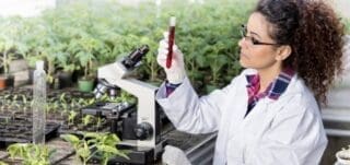 Gestion des pesticides : CropLife International réaffirme son engagement pour la lutte antiparasitaire agricole «Appelons toutes les parties prenantes à respecter et promouvoir de la même manière le Code international de conduite sur la gestion des pesticides, en reconnaissant la nécessité d'efforts de coopération entre les organismes gouvernementaux et réglementaires, l'industrie des pesticides, les organisations internationales, les commerçants, l'industrie alimentaire, les utilisateurs de produits et les groupes d'intérêt public», indique le communiqué de Corplife.