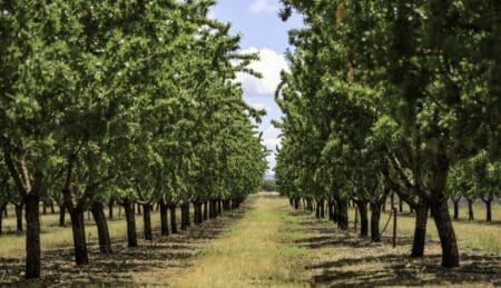Financement | La BAD accorde 102,79 millions de dollars pour soutenir les agriculteurs en Guinée, au Sénégal et au Togo Le programme appuie l’adoption de pratiques et de technologies agricoles résilientes au climat par les acteurs de la chaîne de valeur agricole (petits exploitants agricoles, sociétés coopératives agricoles et associations de producteurs locaux), couvrant environ 40 000 hectares de terres, selon la BAD.