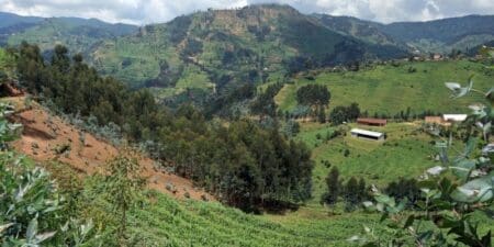 Pour protéger son couvert forestier, l’une des plus riches d’Afrique de l’Ouest, le pays a déployé une «armée verte», un dispositif unique en son genre baptisé “Sodefor”, une force spéciale destinée à lutter contre la déforestation illégale et à surveiller les forêts. Depuis son déploiement, cette brigade a mené plusieurs actions concrètes : 232 procès-verbaux ont été dressés, 16 sites clandestins d’orpaillage ont été démantelés, et 50 véhicules transportant des produits forestiers illégaux ont été saisis. L’urgence est bien réelle, comme le souligne, souvent Ouattara, bien conscient que la déforestation a entraîné la perte de plus de 80 % du couvert forestier du pays depuis 1960. Dans cette perspective, l’objectif est de restaurer 20 % du couvert forestier d'ici 2030, soit environ 6,5 millions d’hectares, avec un plan de reboisement de 100 000 hectares par an, financé par un budget de 600 milliards de FCFA.