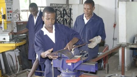 «Le programme vise à contribuer à la création des conditions favorables à une croissance économique forte et inclusive par le renforcement de la gouvernance économique et financière et l’amélioration de la résilience économique », a indiqué Adam Amoumoun, responsable du bureau pays de la Banque africaine de développement à Madagascar. «Il appuie les autorités malgaches dans la mise en œuvre des réformes prioritaires de la Politique générale de l’État (PGE) 2024-2028 et la Nouvelle politique énergétique (NPE) de Madagascar pour 2015-2030
