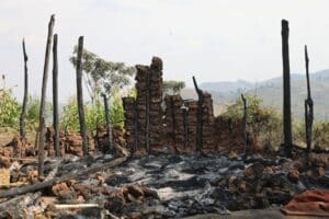 Le Brésil reconnait plus de 500 territoires autochtones sur lesquels les populations jouissent de tous les droits sur leurs terres, ce qui constitue un obstacle à la déforestation, à l'exploitation minière et à l'agriculture industrielle. Ces zones couvrent 12.5 % de la superficie du pays, principalement en Amazonie. Plusieurs institutions gouvernementales sont en place pour protéger les populations indigènes, leur apporter des services de base, et faire respecter les lois face à la forte pression des différentes industries extractives.